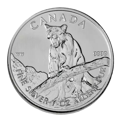 La pièce de 1 oz en argent de la série Cougar de la Monnaie royale canadienne représente un couguar se tenant au-dessus d'une branche d'arbre et montrant ses crocs.
