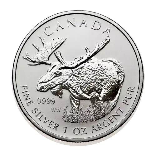 La pièce de 1 oz en argent de la série Wildlife de la Monnaie royale canadienne représente un orignal tourné vers la gauche.