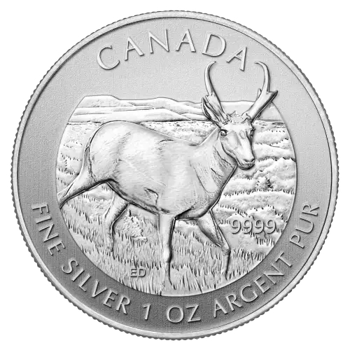 La pièce de 1 oz en argent de la série Faune et flore de la Monnaie royale canadienne représente une antilope d'Amérique debout dans l'herbe, tournée vers la droite.