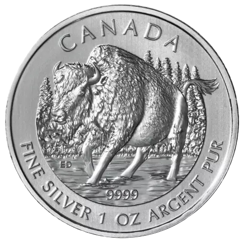La pièce de 1 oz en argent de la série Faune et flore de la Monnaie royale canadienne représente un bison des bois, tourné vers la gauche, courant dans la neige.